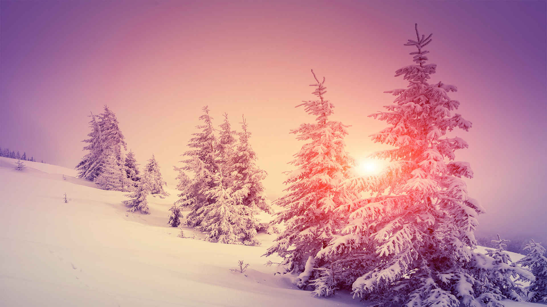 朝阳照在雪景上