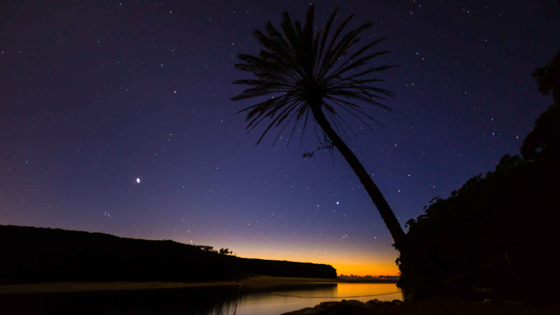 澳大利亚皇家国家公园夜景图片