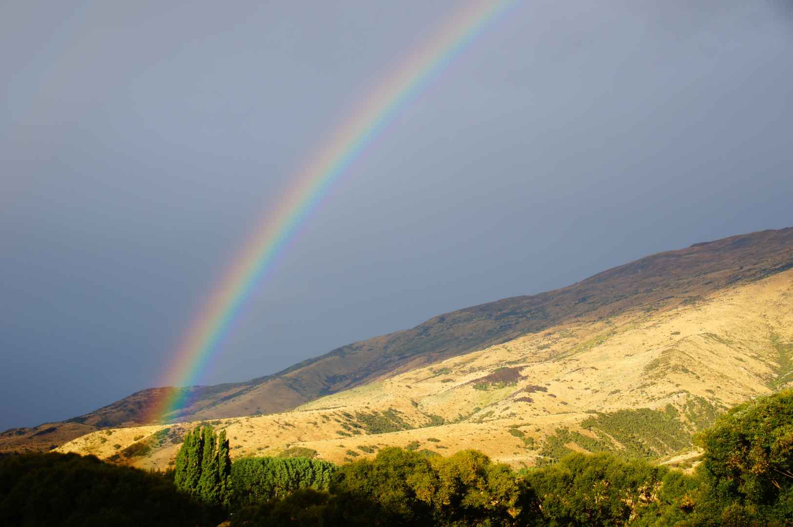 彩虹新西兰图片