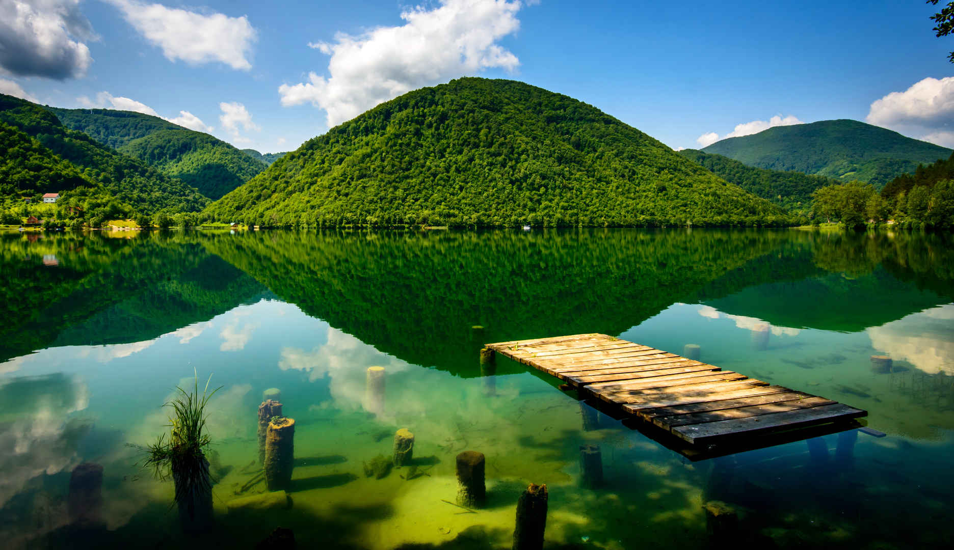 波斯尼亚和黑塞哥维那绿色自然风景