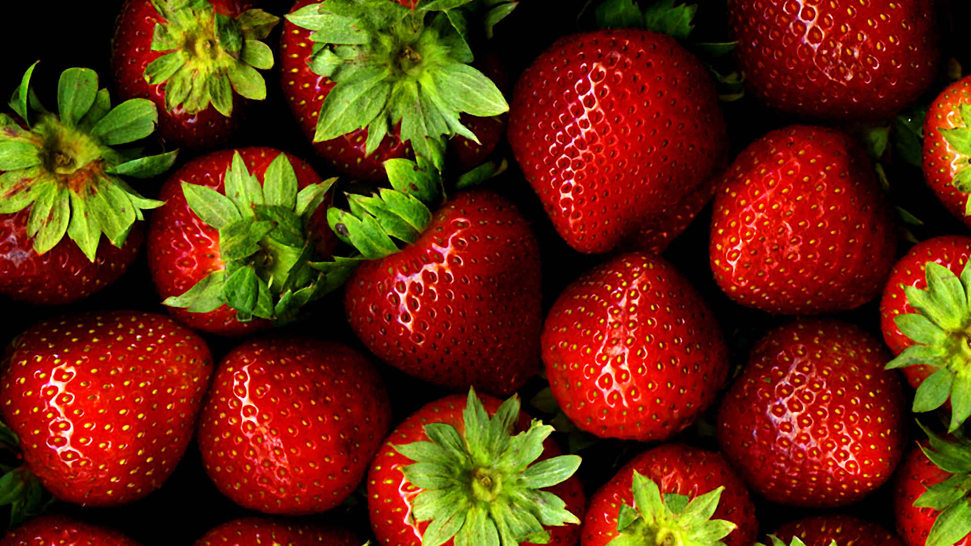 草莓图片-