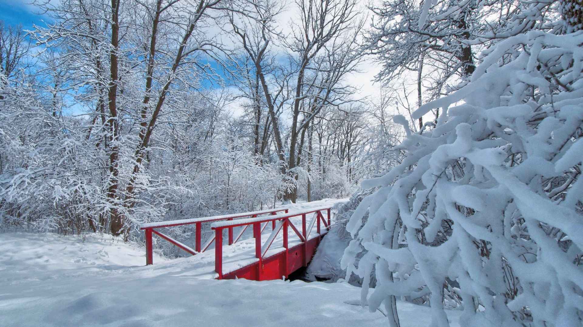 大雪封山红色小桥图片-