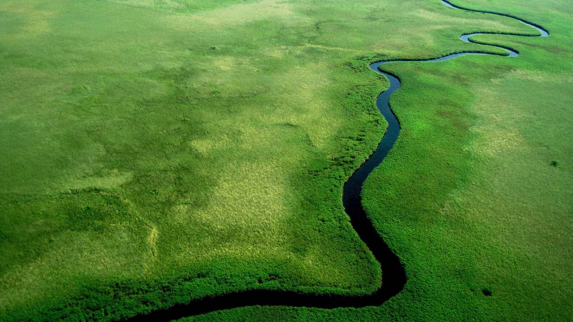 河流绿色的自然风光美景图片-