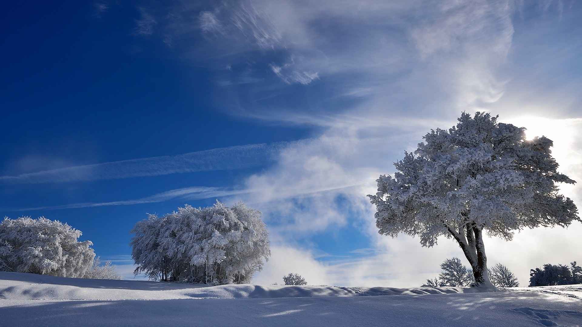 雪原日本风景壁纸
