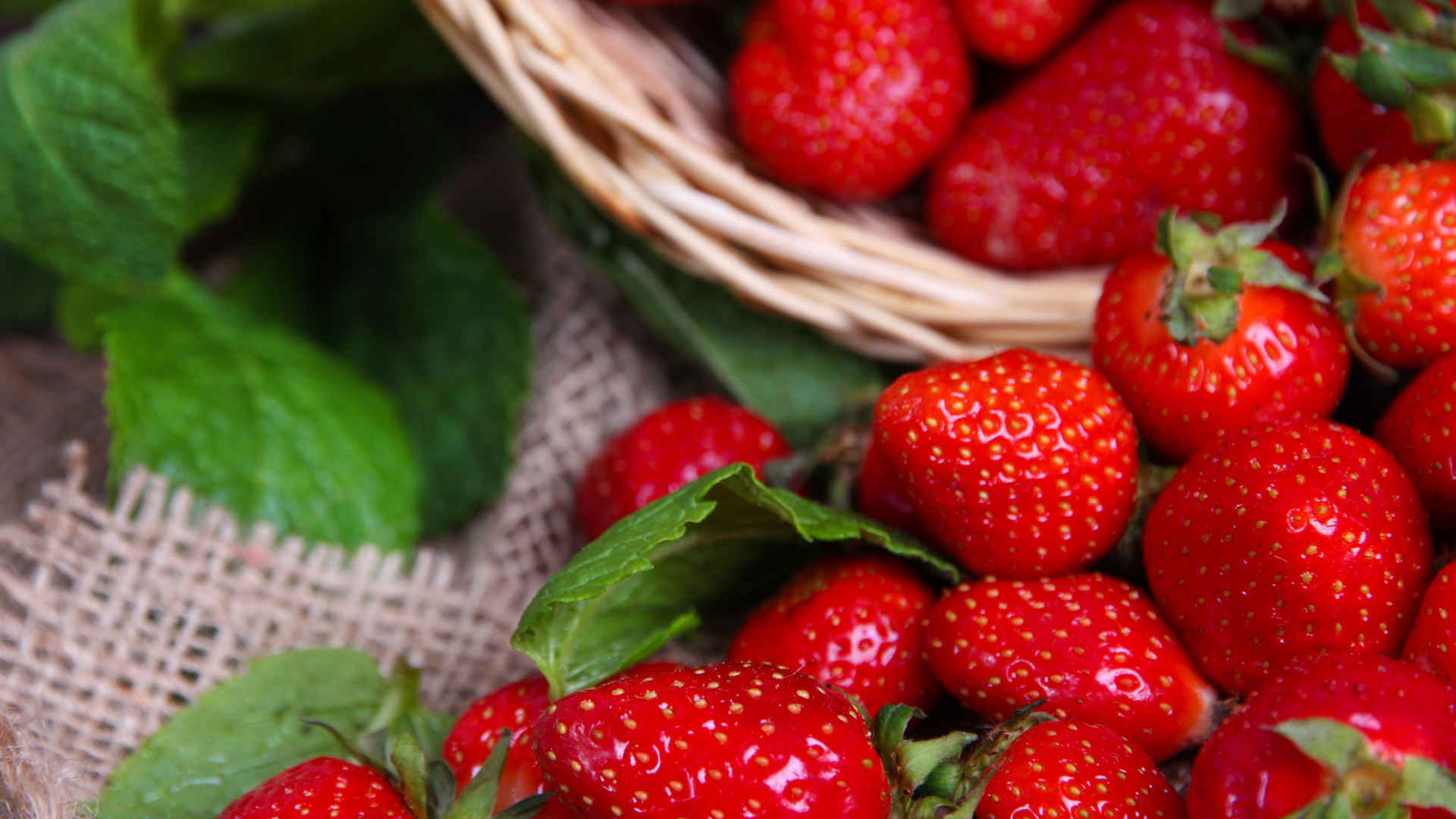 草莓唯美水果壁纸-