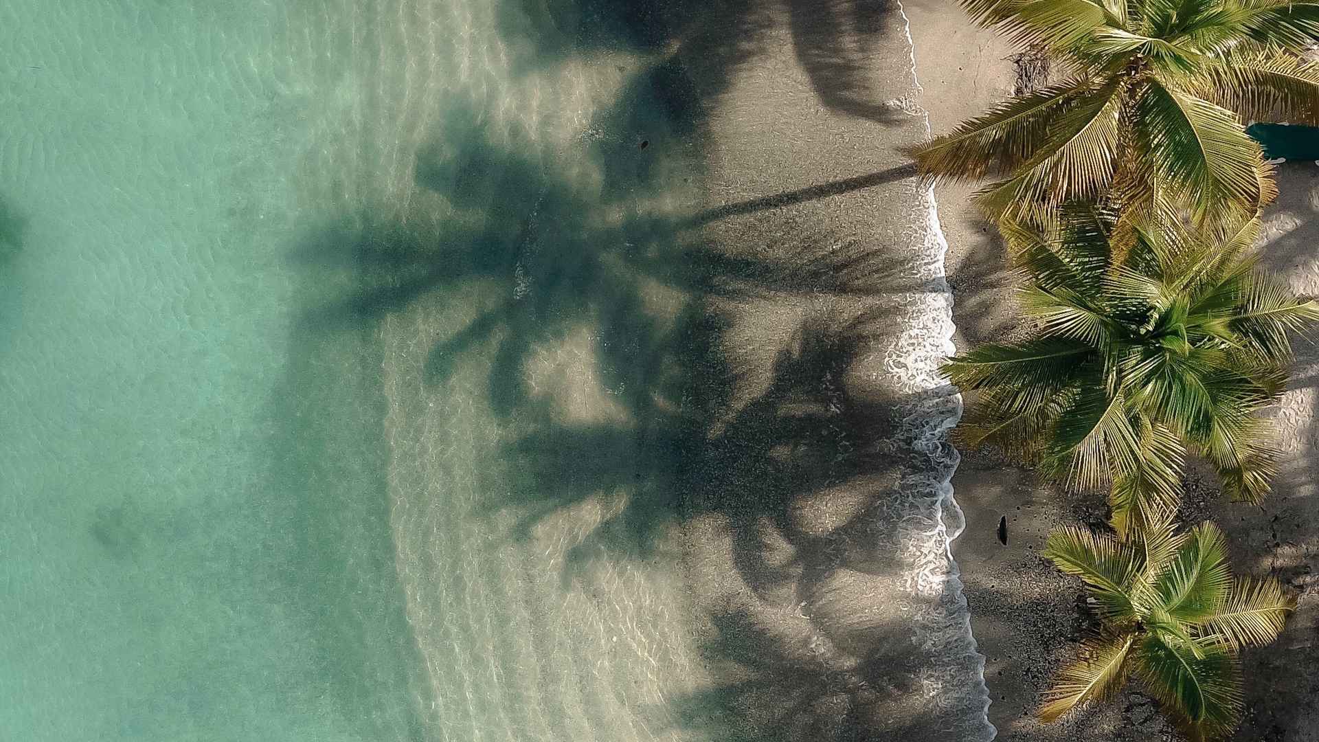 航拍海浪椰子树清新风景壁纸-