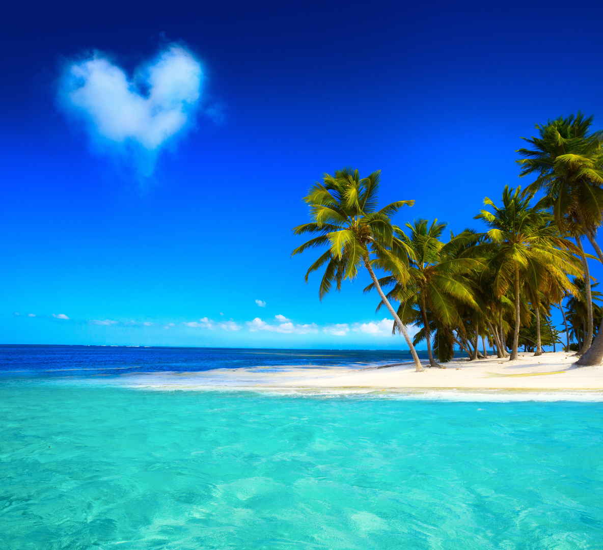 蓝天翡翠海洋棕榈树6K风景壁纸