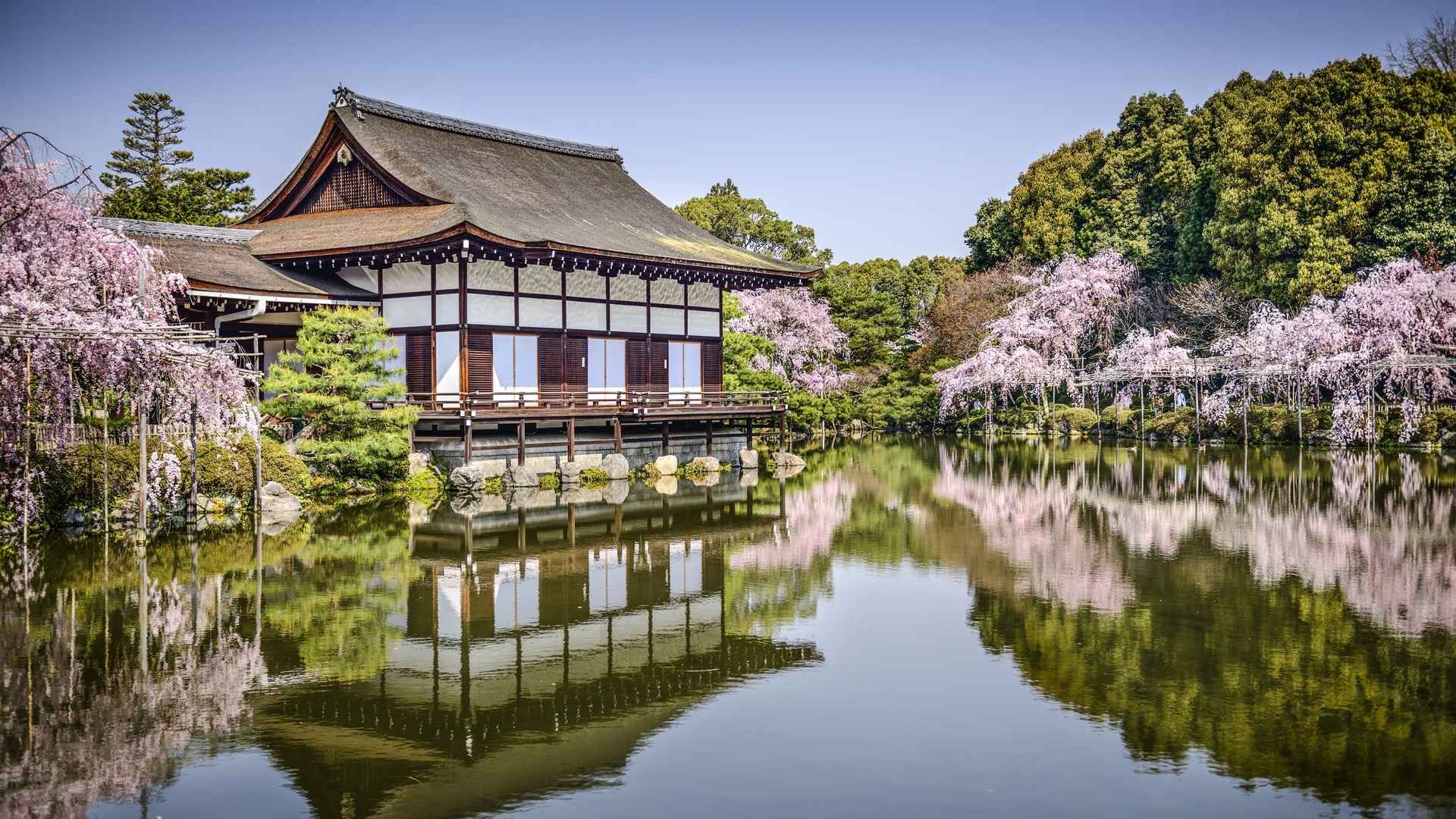 日本京都平安神宫花池塘