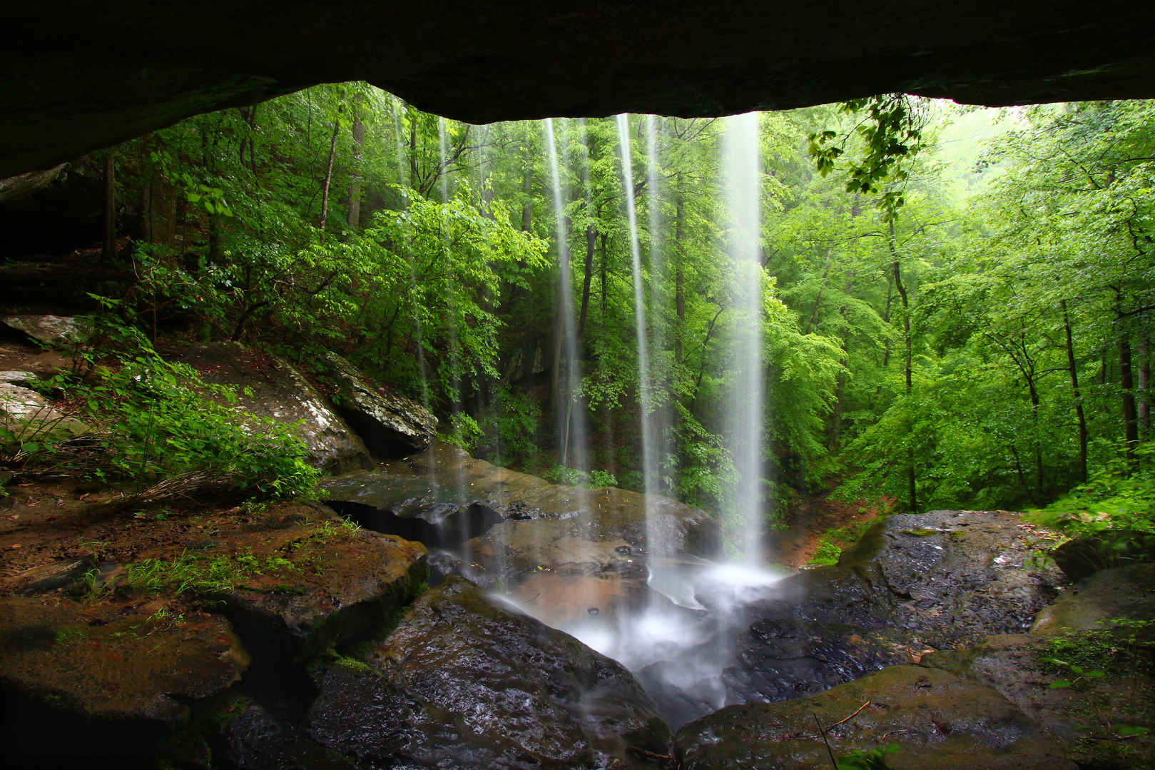 树林自然洞穴瀑布4K壁纸