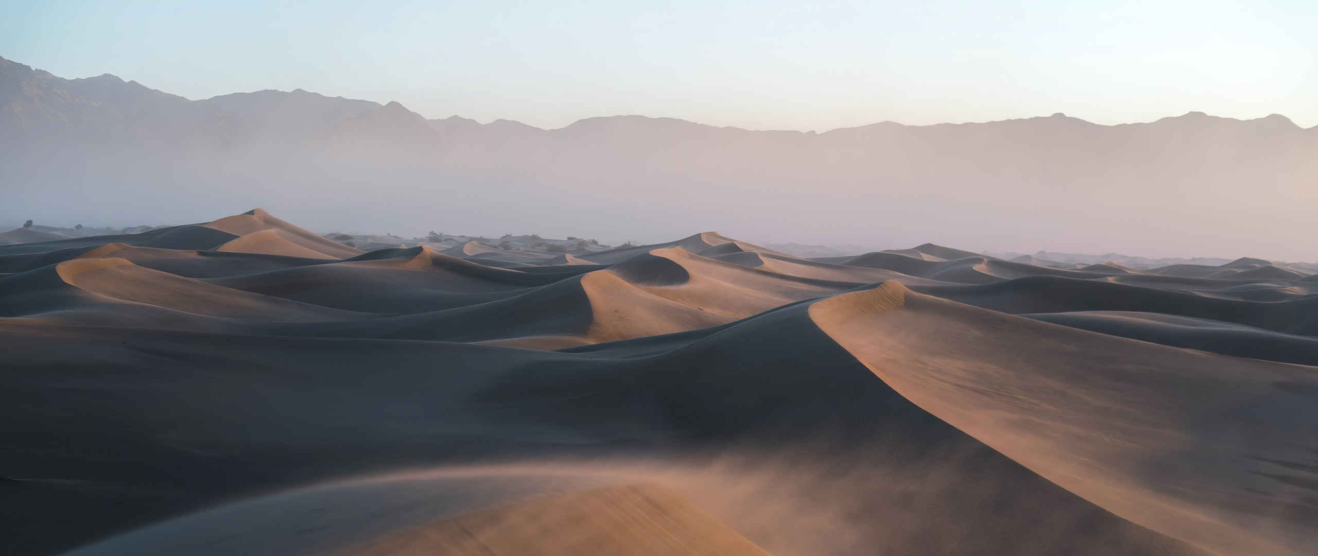 沙漠 雾壁纸