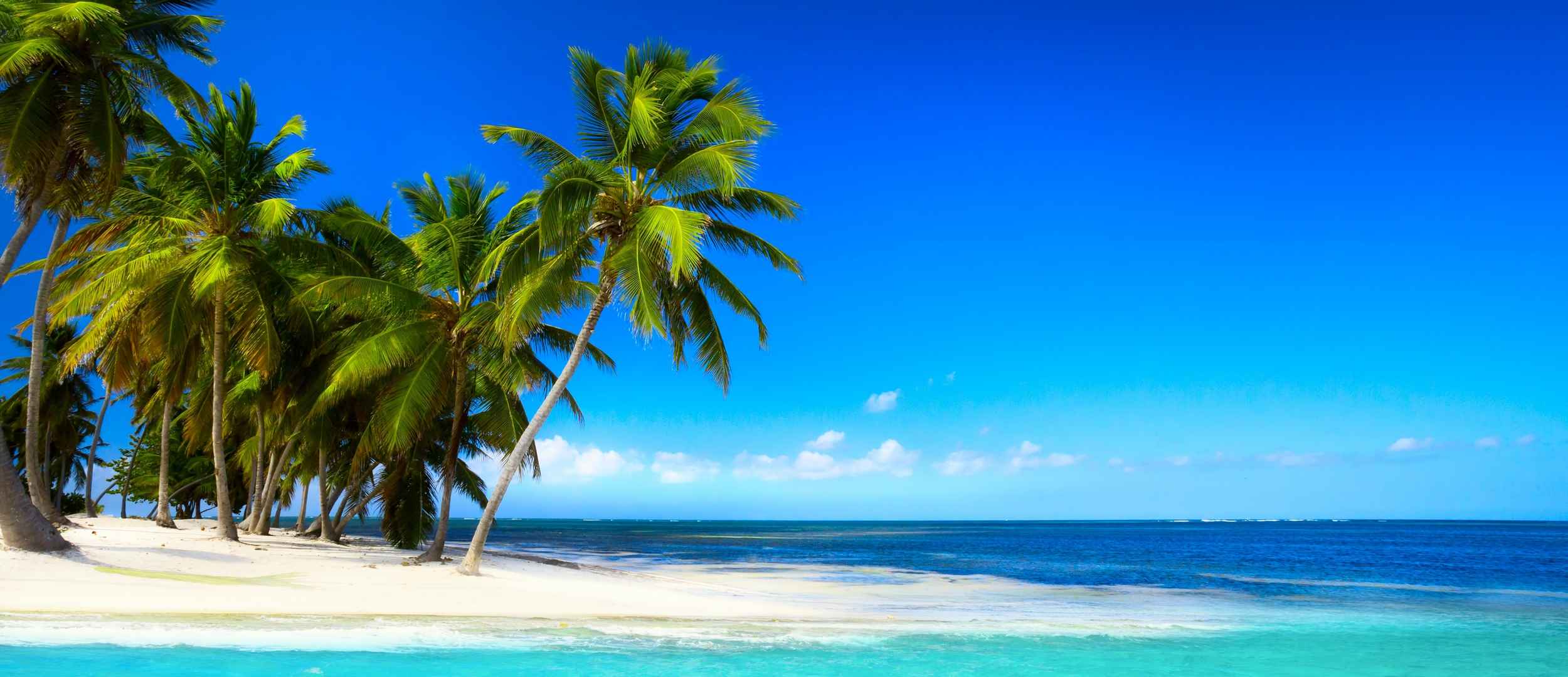 热带地区沙滩棕榈树蓝色大海天空风景图片