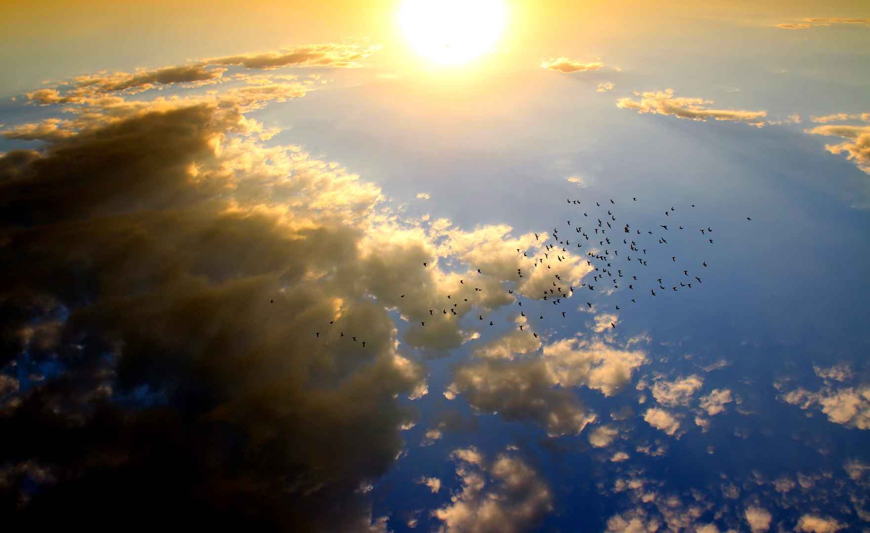 日落 鸟 云 太阳- 天空 风景图片