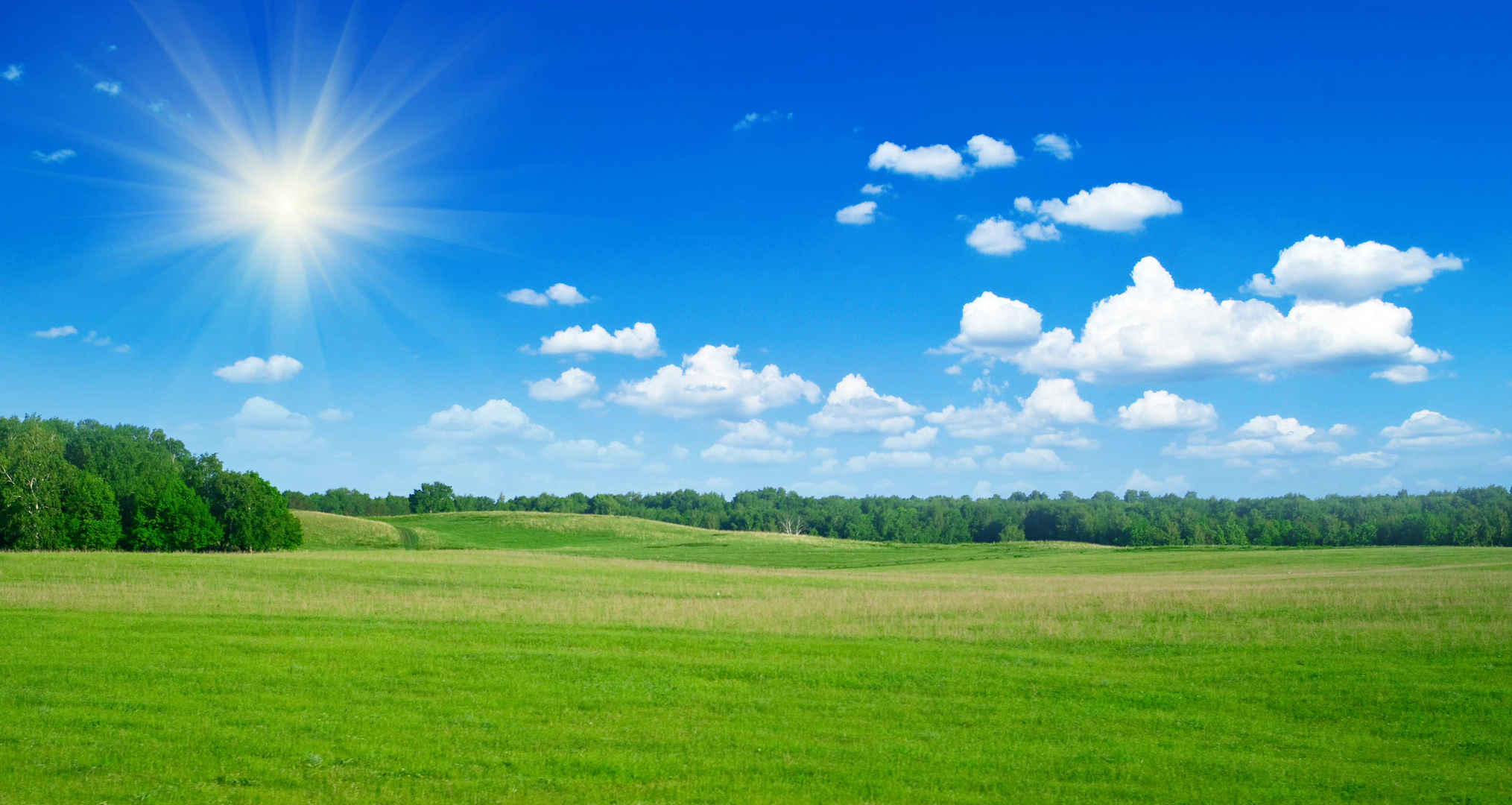 新明亮自然风景春天蓝天白云阳光下一望无际广阔的草原草地风景图-