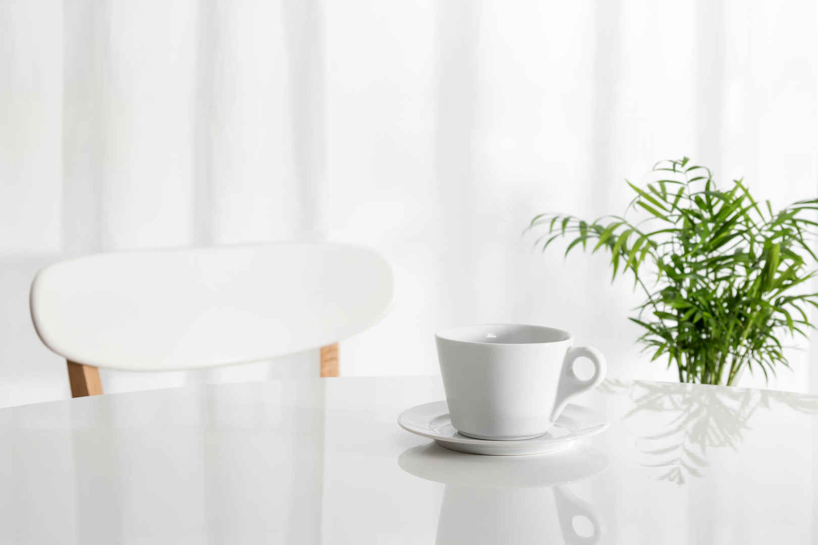 厨房桌子上白色杯子绿色的植物背景