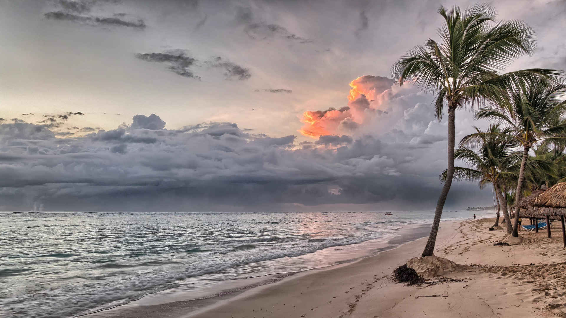 加勒比海棕榈树天空壁纸