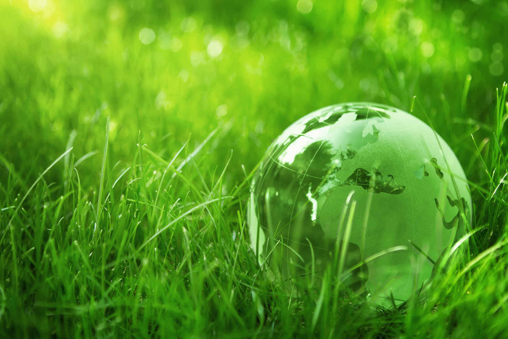 草地上绿色生机的玻璃球壁纸-