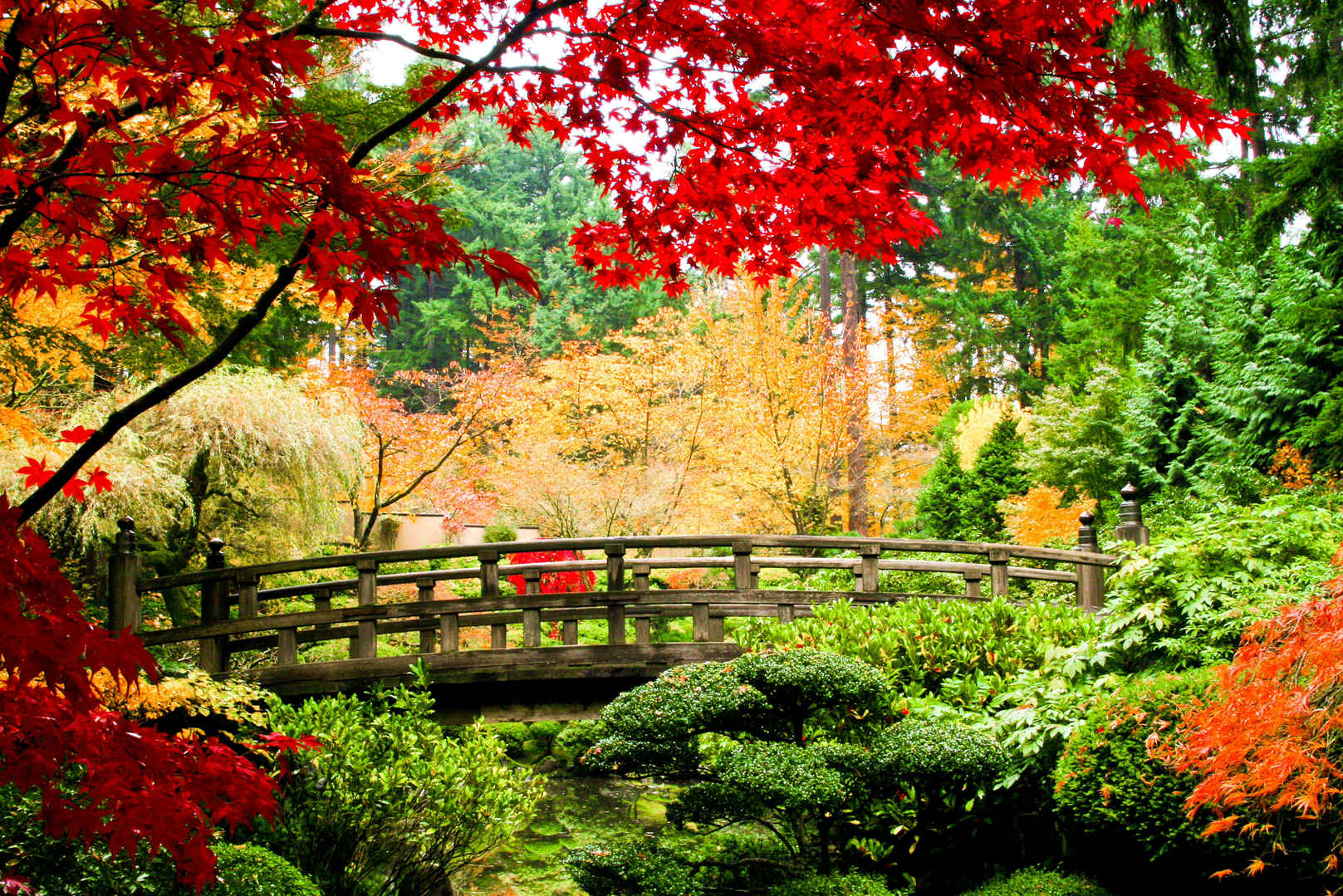 秋天花园中的一座桥素材-