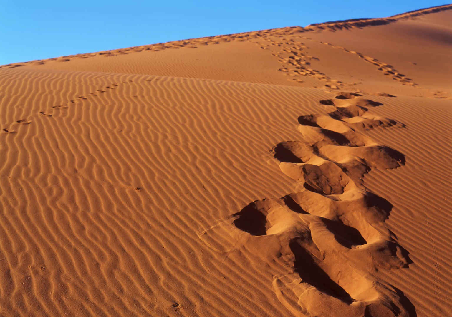 纳米布沙漠足迹沙丘沙漠旅游-