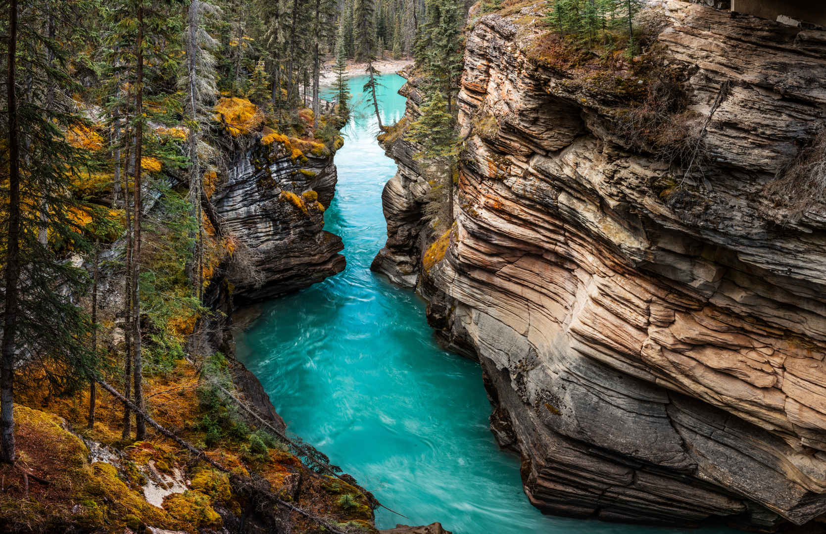 加拿大峡谷中河流的风景-