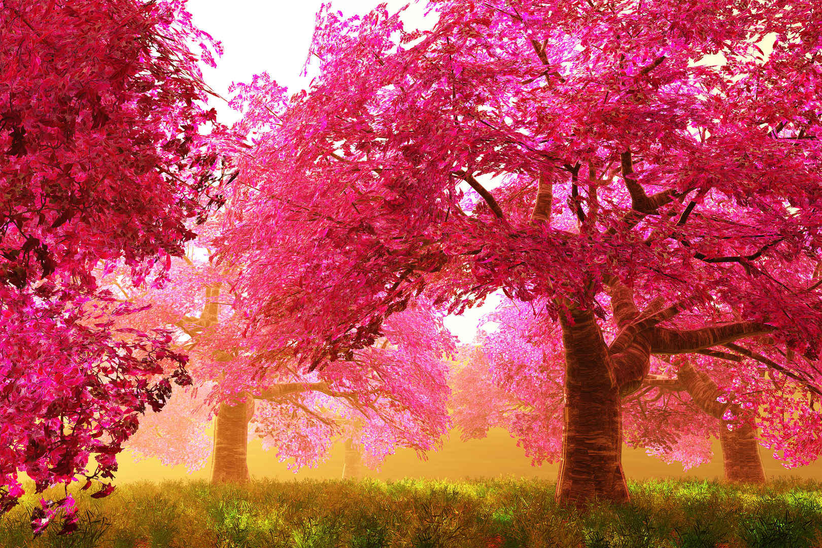 3d渲染神秘的樱花树-
