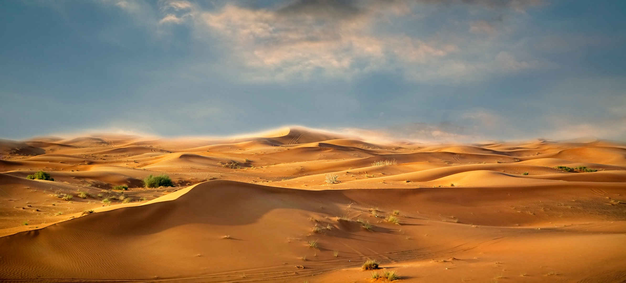 沙漠景观-