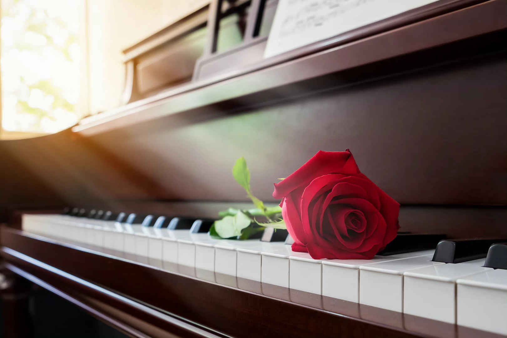 温暖的光照在老式钢琴和红玫瑰上