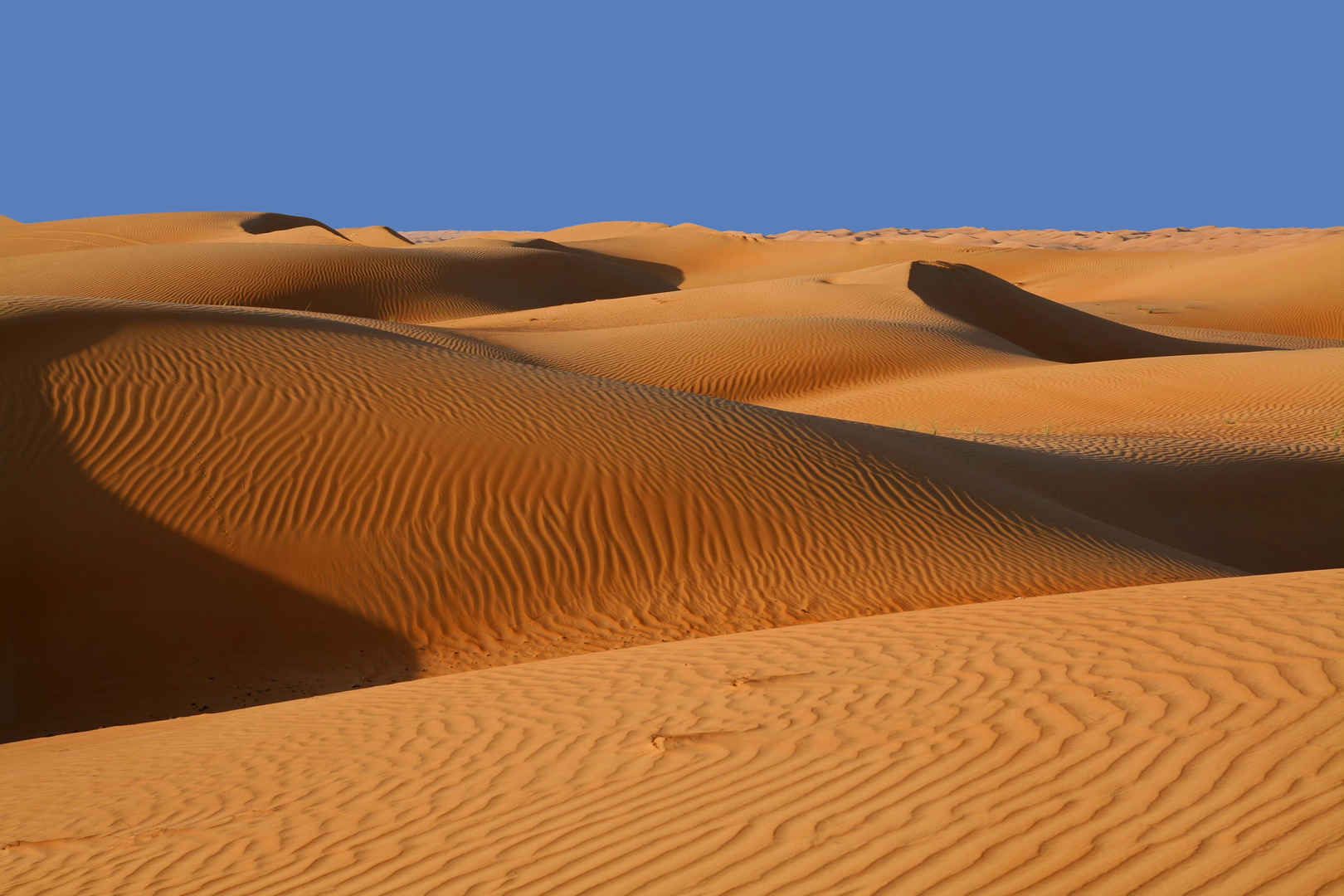 清晨阳光下的阿曼沙漠沙漠旅游-