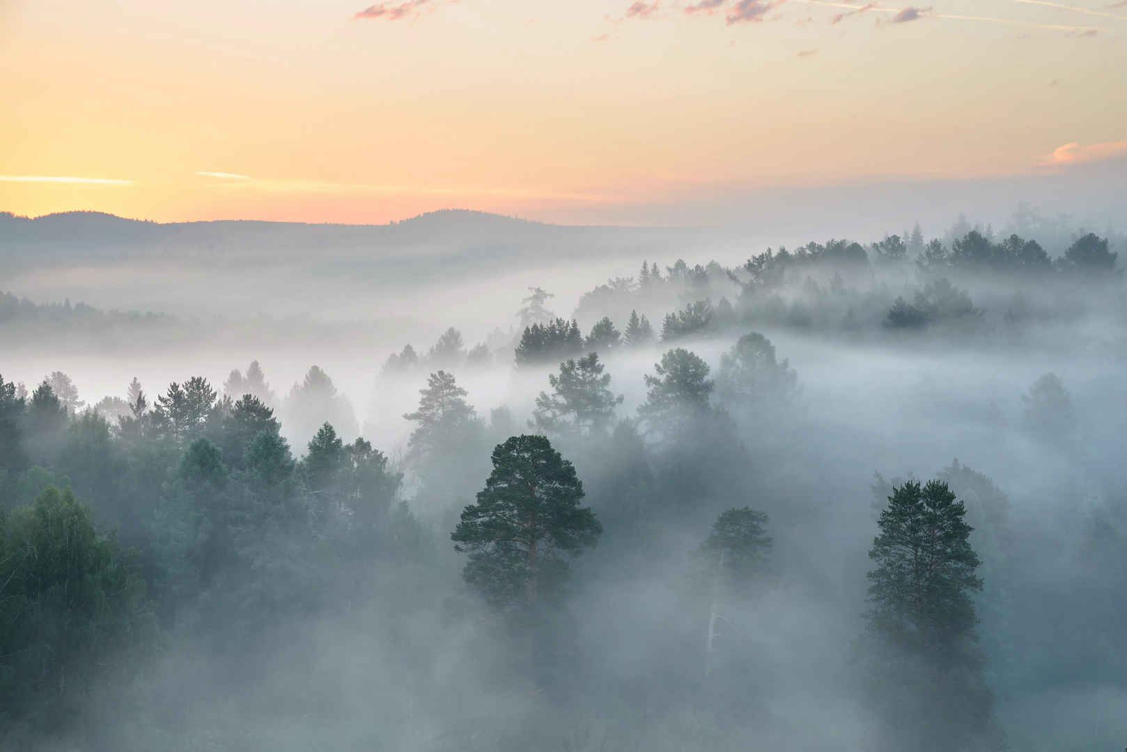 国家公园鹿溪的薄雾的黎明-