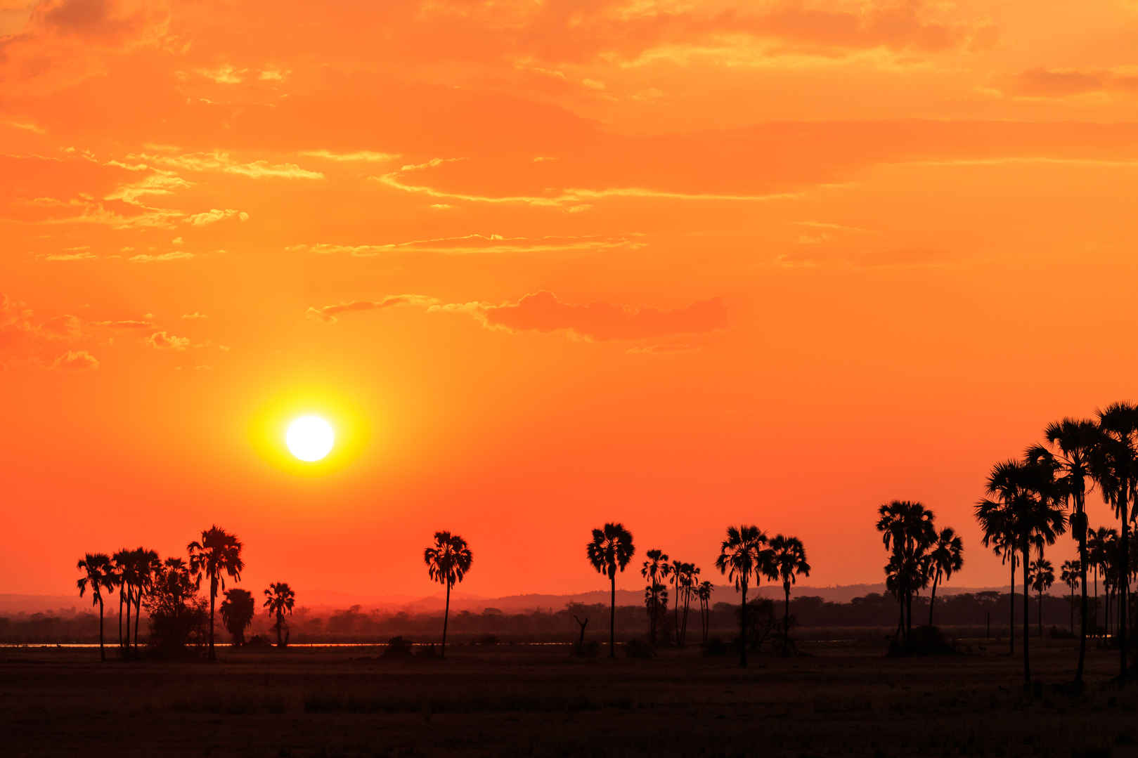 橙色辉光夕阳中非洲的景观-