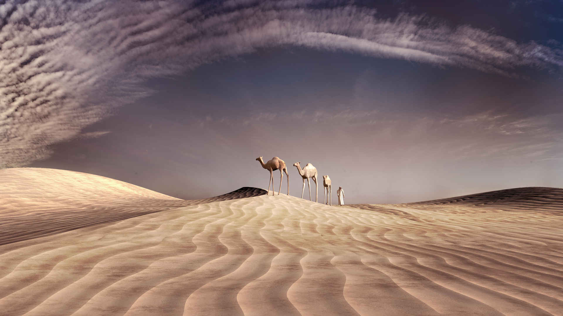 三个骆驼和游牧民族在这片沙漠-