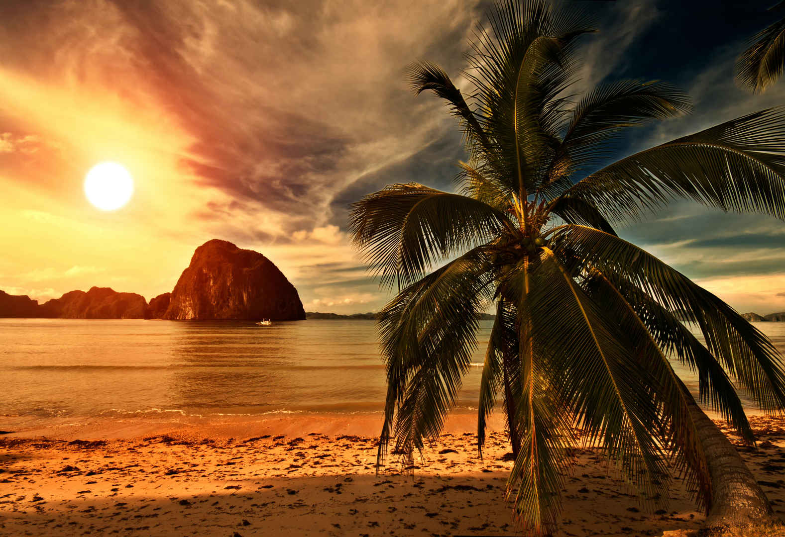 热带海滩夕阳与棕榈壁纸-