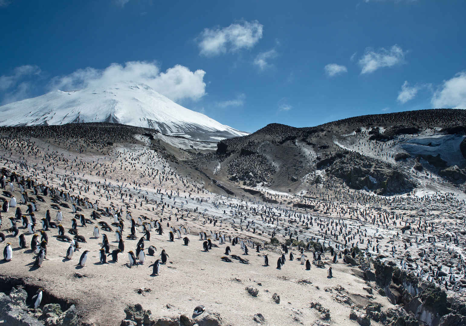 雪山上的企鹅群
