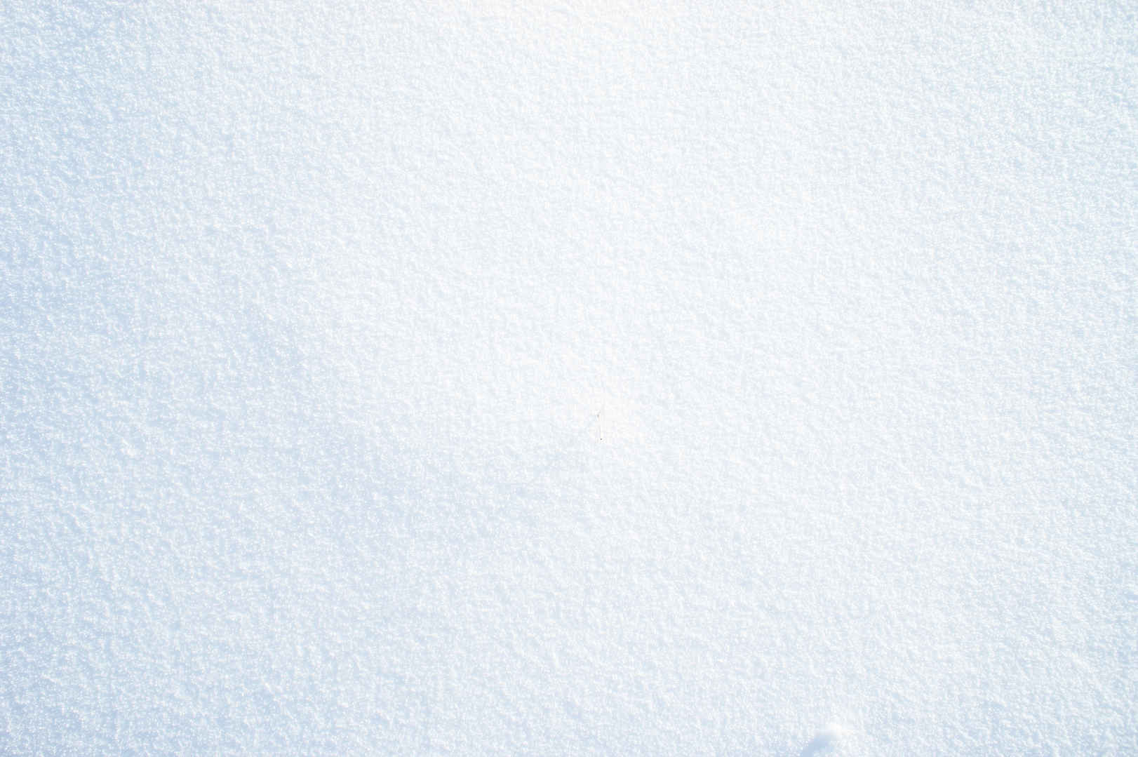 冬雪背景壁纸-