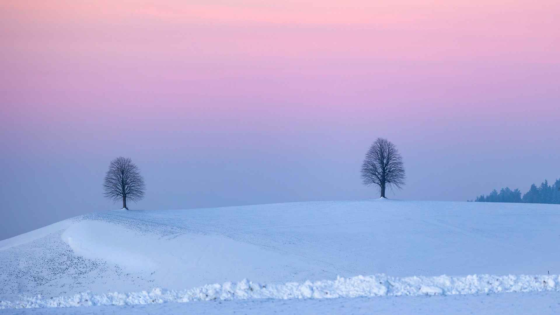 冬天浪漫黄昏壁纸高清风景图片-