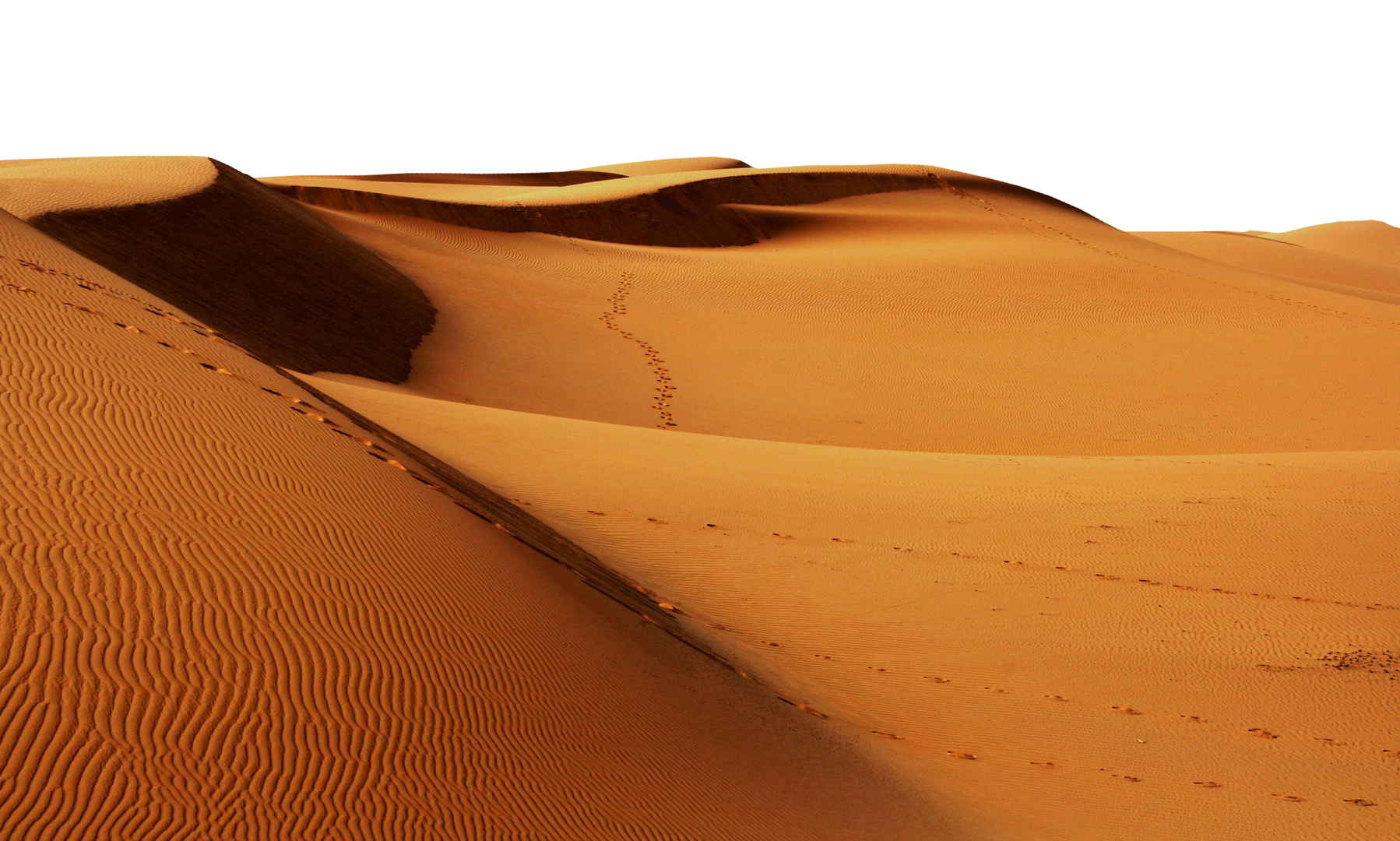 荒凉的沙漠感情壁纸图片-