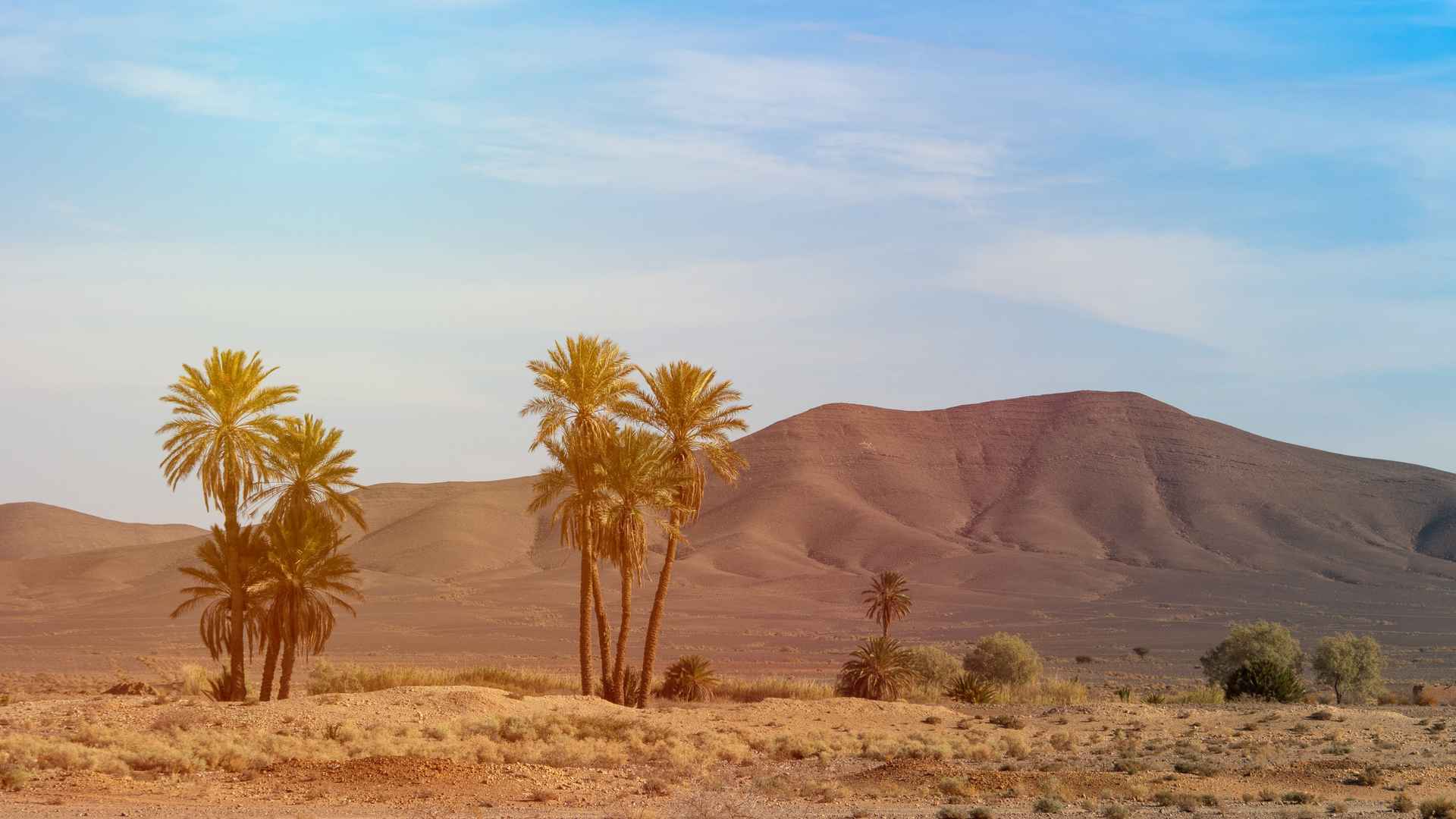 撒哈拉沙漠高清壁纸-
