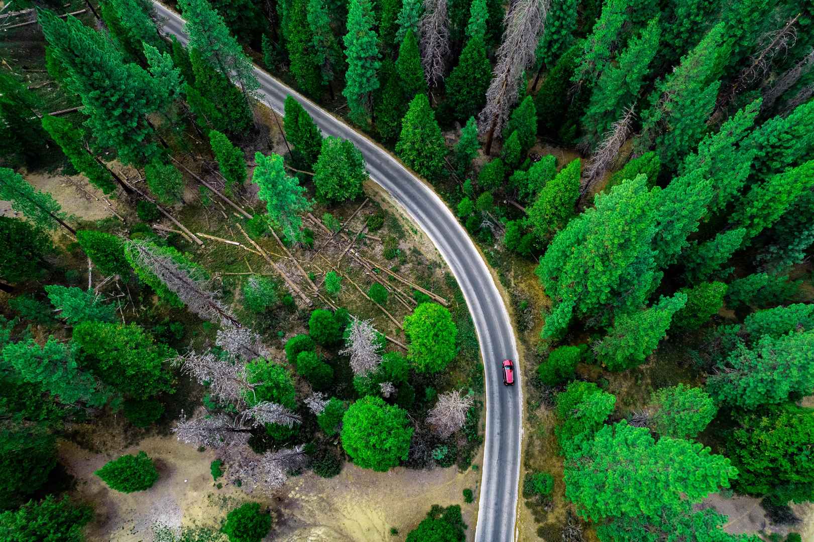 航拍公路穿越树林壁纸