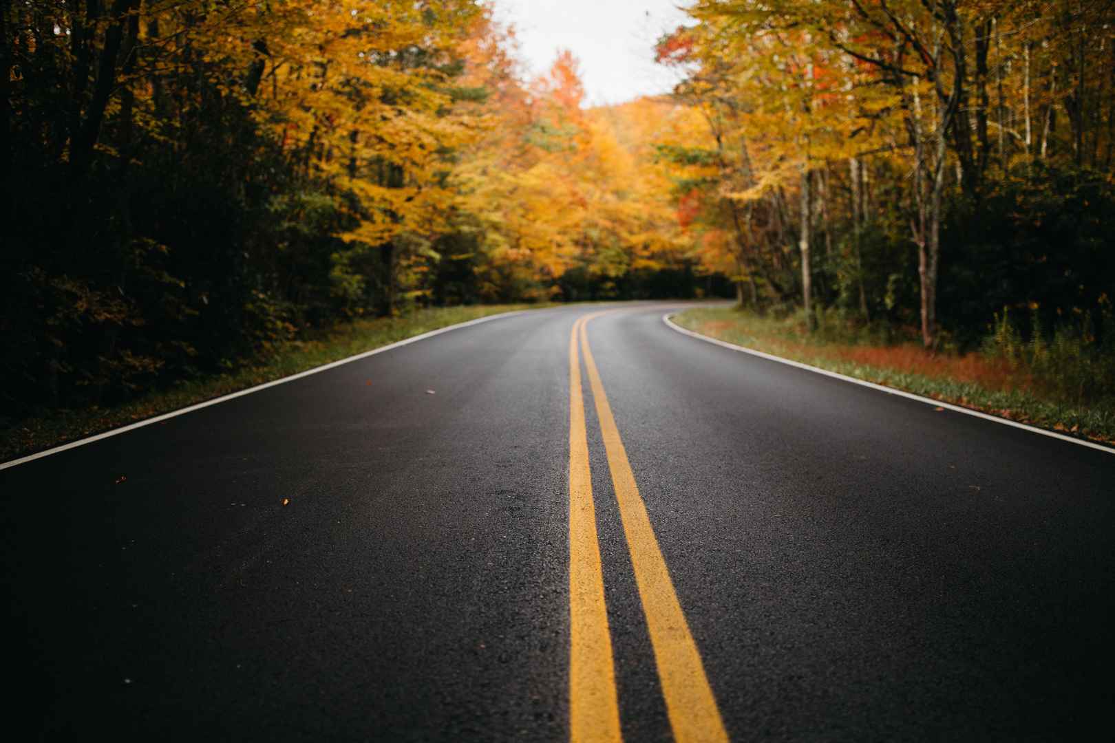 秋天唯美公路壁纸