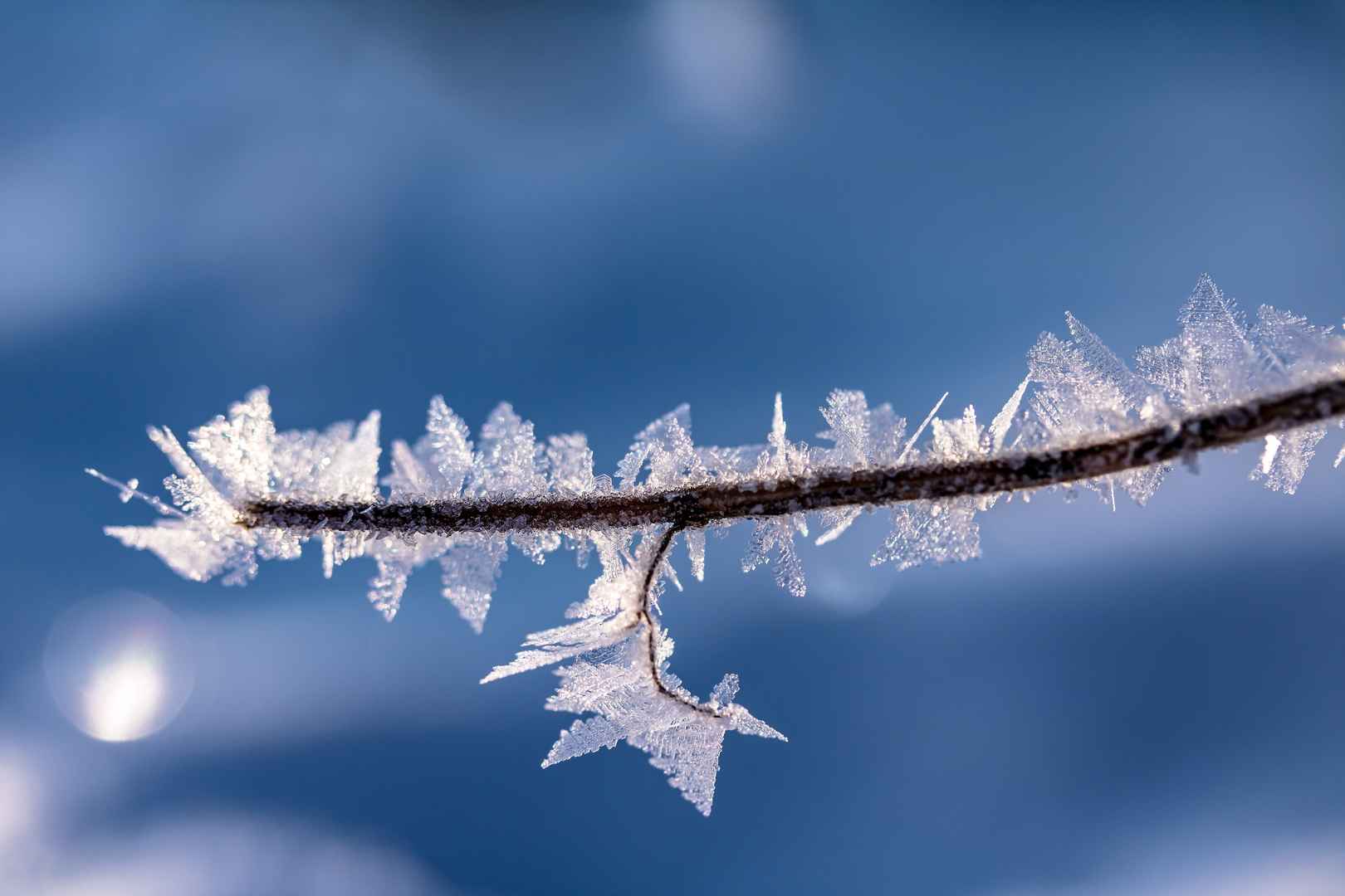 冬季透明寒冷的冰晶图片-