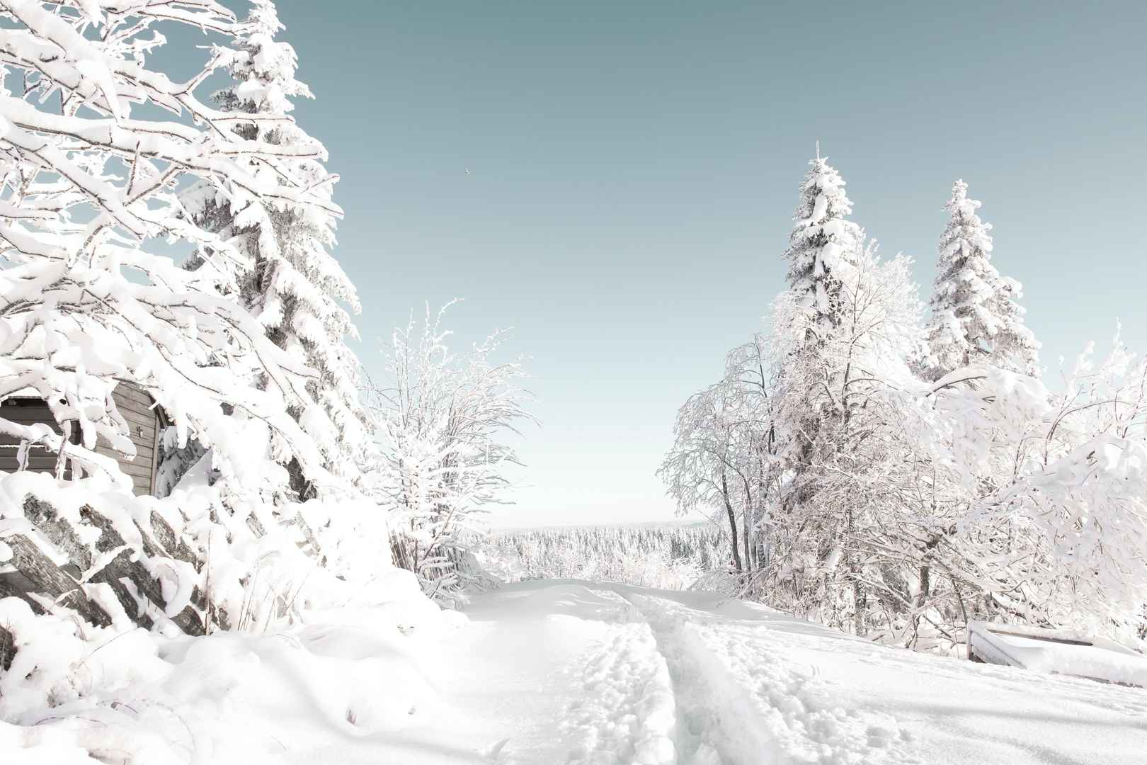 银装素裹冬季雪景图片-