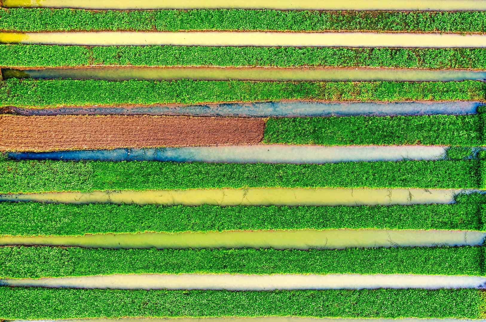 无人机拍摄农田图片-