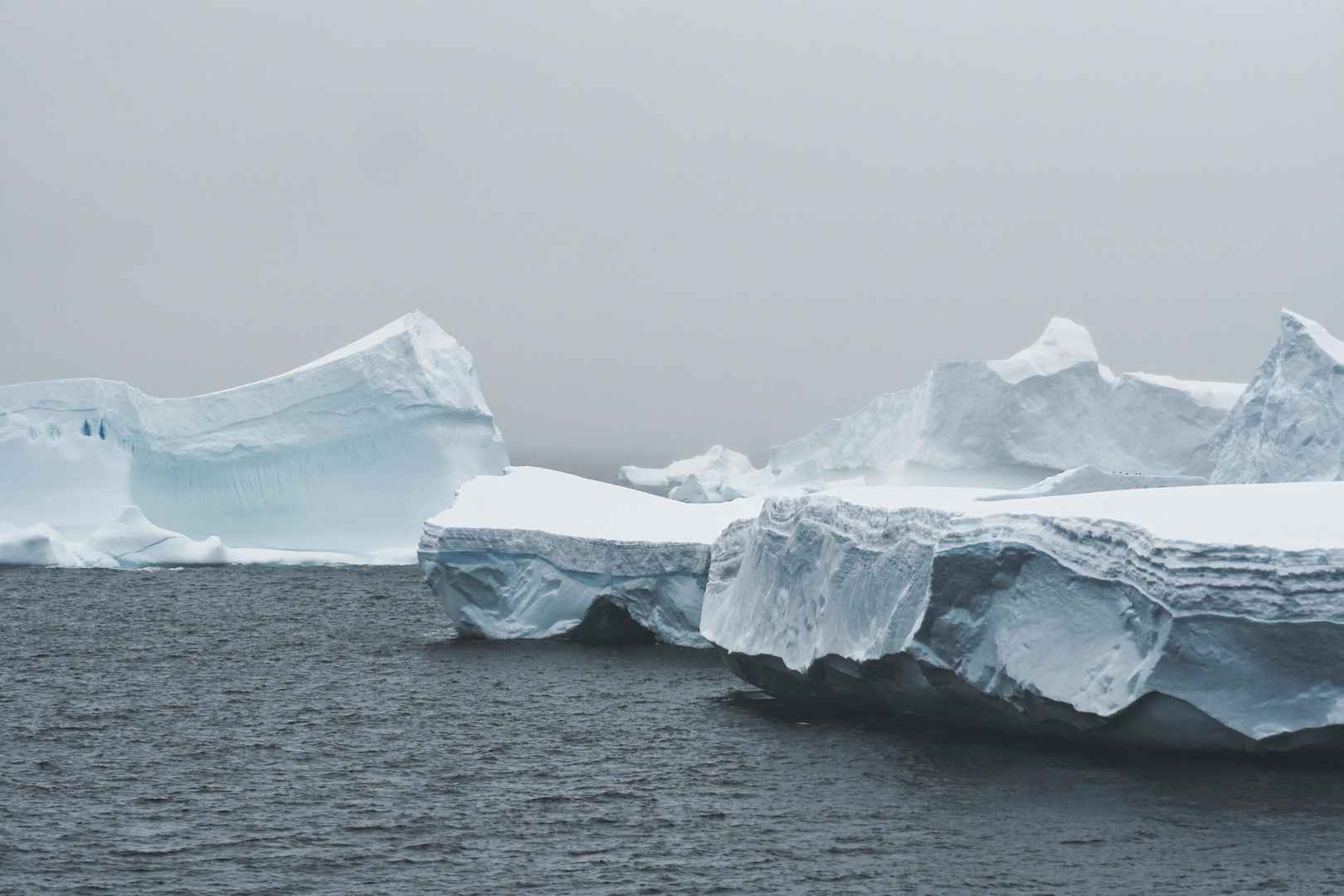 海岸白色冰川图片-