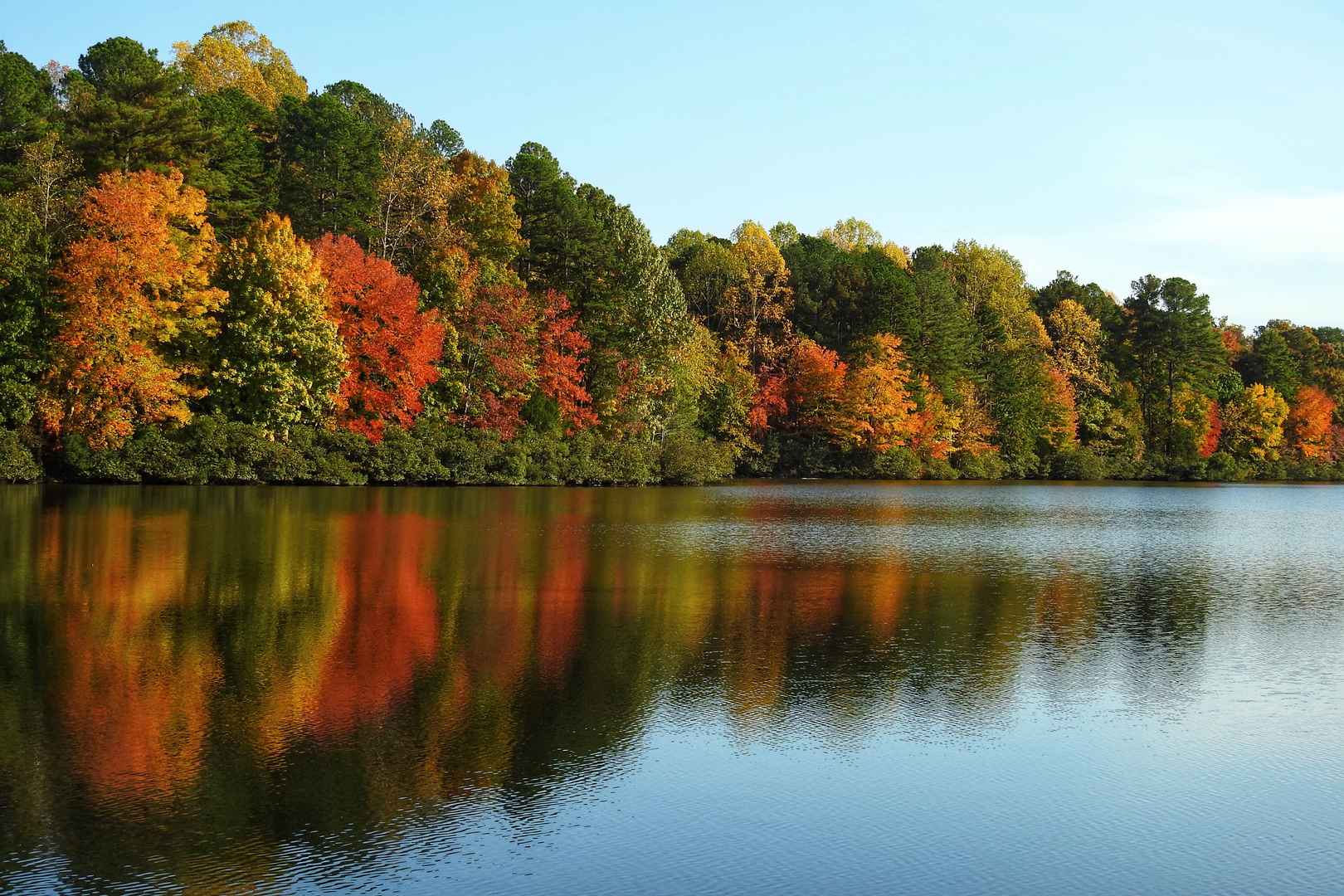 秋季湖泊树木景观图-