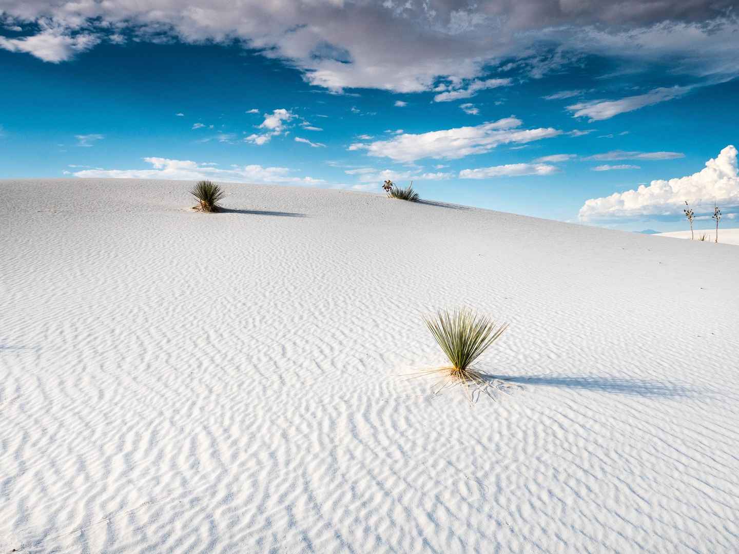 白色沙漠风光图片