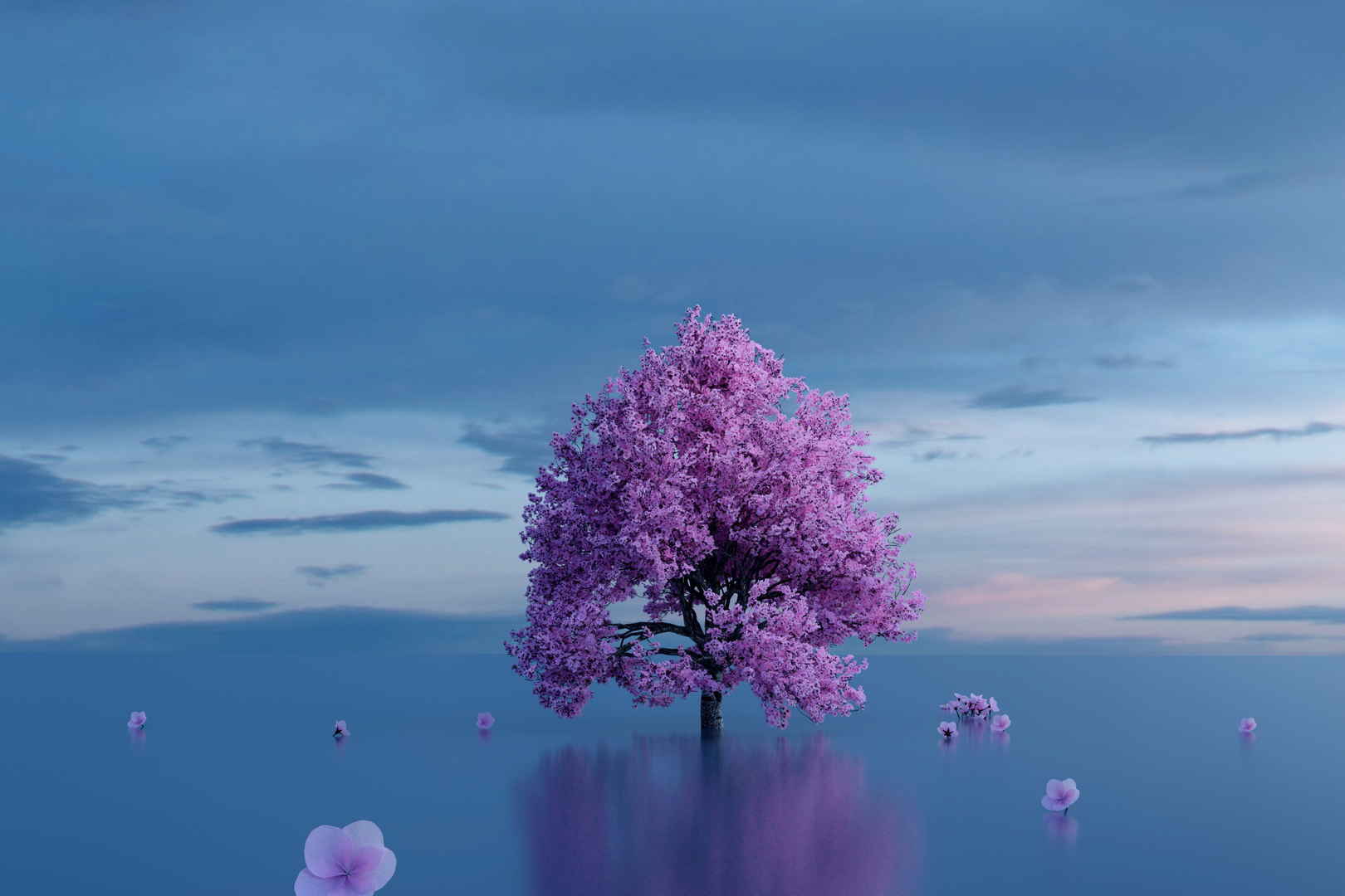 紫色树木唯美意境图片-