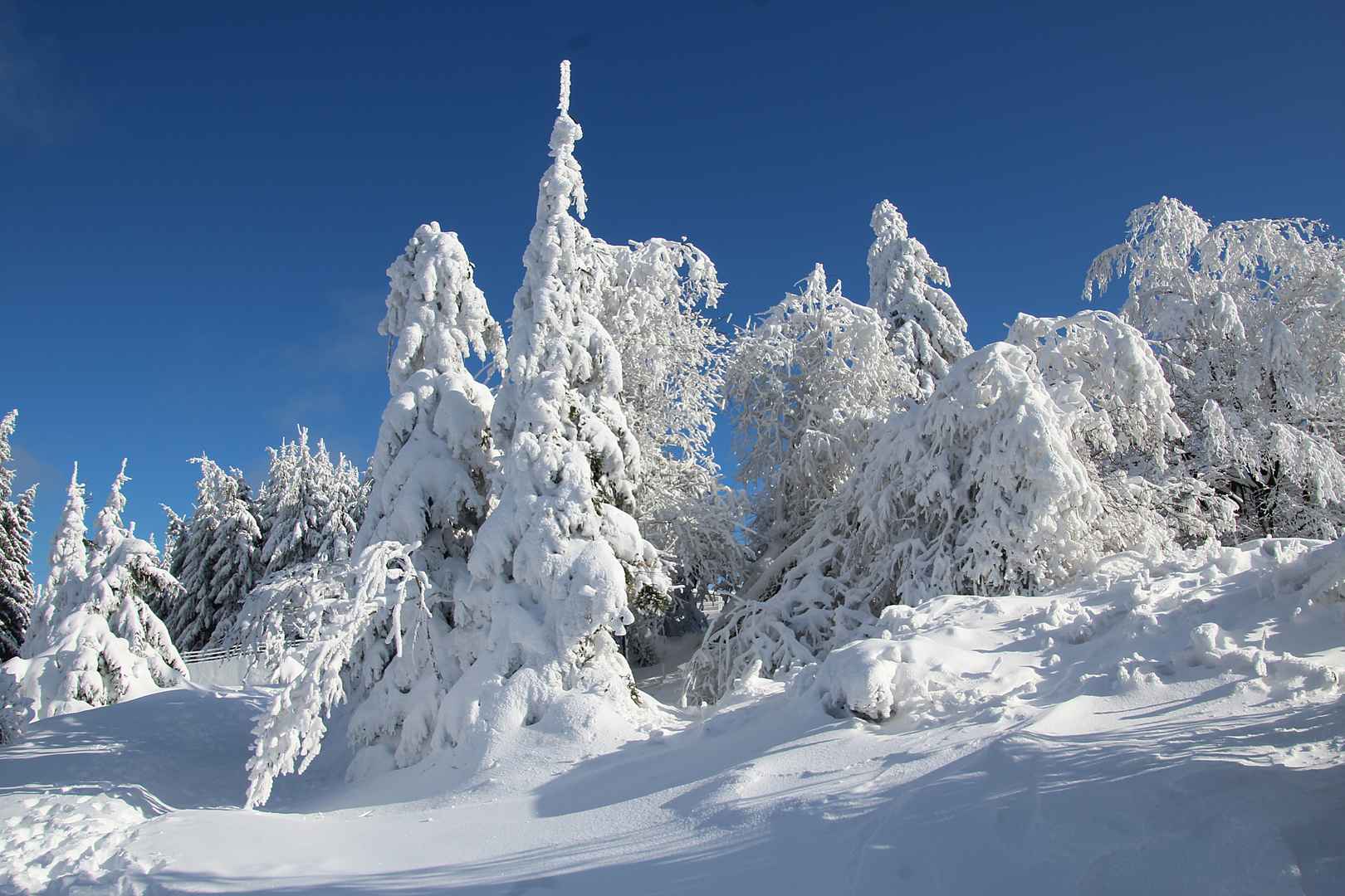 大雪时节雪山风景壁纸图片-