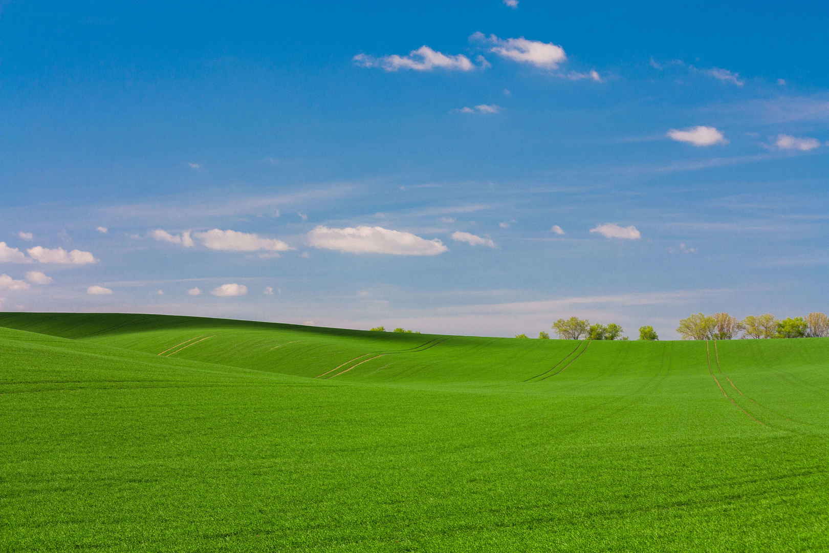 蓝天白云下绿色辽阔的草原风景图片-