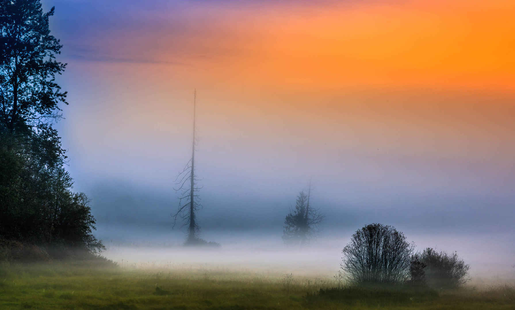 唯美晨雾风景图片-