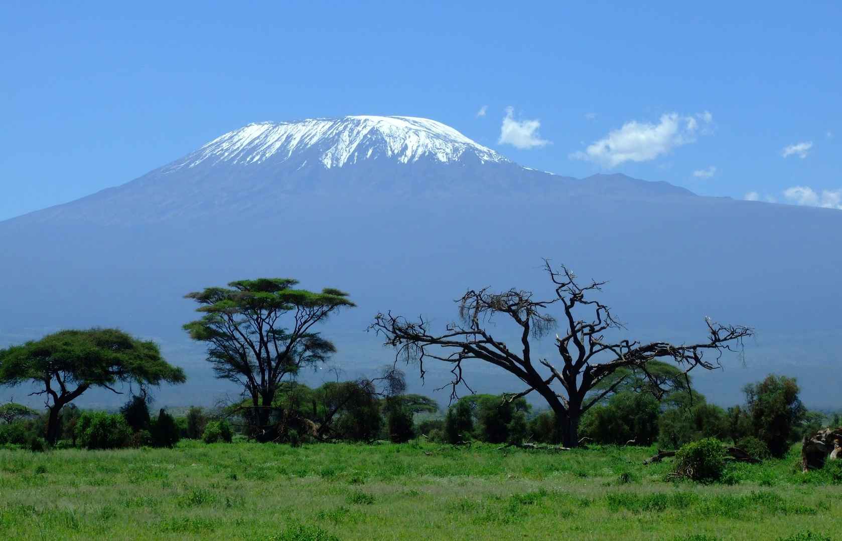 坦桑尼亚乞力马扎罗山风景图片