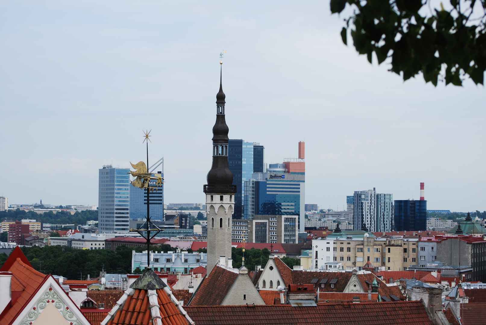 爱沙尼亚建筑风景图片-